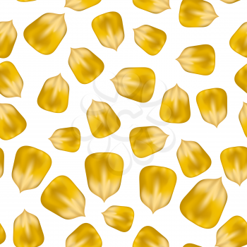 Ripe Yellow Corn Seed Seamless Pattern Isolated on White Background