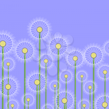 Spring Dandelion Flower Pattern on Blue Background