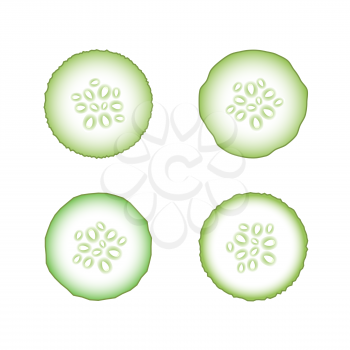 Set of Fresh Green Cucumbers Isolated on White Background