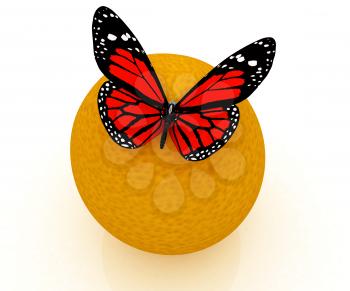 Red butterflys on a oranges on a white background 