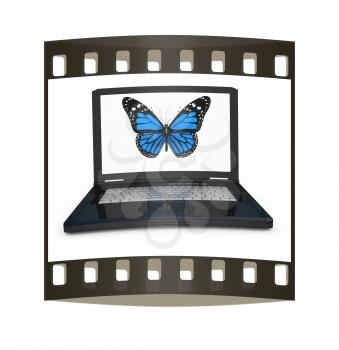 butterfly on a notebook on a white background. The film strip