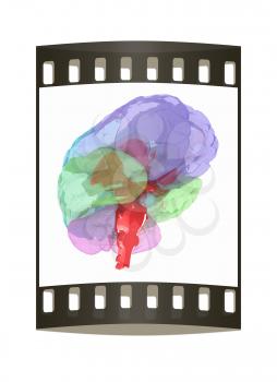 Human brain. The film strip
