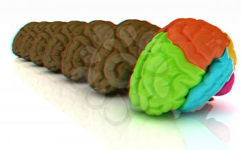 Human brains. 3D illustration. Anaglyph. View with red/cyan glasses to see in 3D.