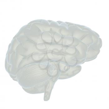 3D illustration of human brain