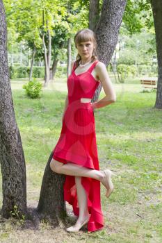 Beautiful lady in red are standing near tree summer day
