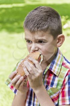 Cute boy are eating hotdog with appetite on green background