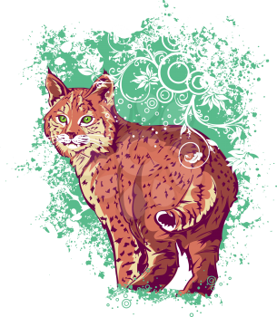 Royalty Free Clipart Image of a Bobcat