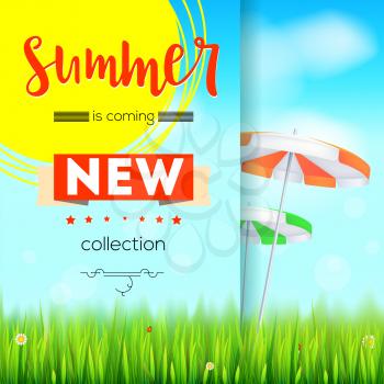 Summer new collection. Stylish advertisement text poster on blue summer sky backdrop with clouds, sun umbrellas, grass, daisies and ladybugs. Template mock-up for online shopping, advertising actions.