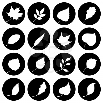 Leaves silhouettes. Black and white design.