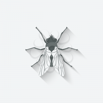 fly insect icon - vector illustration. eps 10