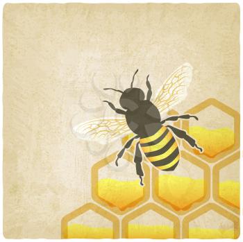 bee honeycomb old background - vector illustration. eps 10