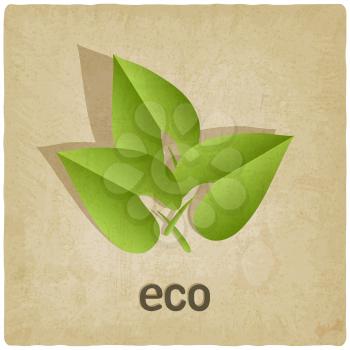 eco old  background with leaves - vector illustration