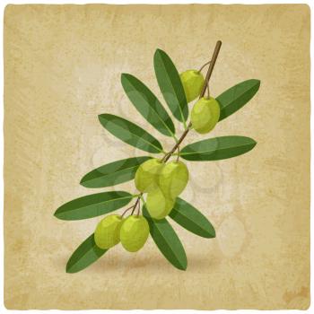 Green olive branch vintage background. vector illustration - eps 10