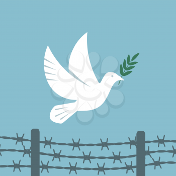 Symbol peace white dove flies over the barbed wire. vector illustration