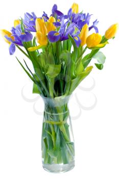 glass vase with tulip and iris flowers isolated on white
