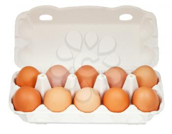 ten chicken eggs in cardboard container isolated on white background