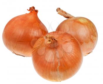 three common onion bulbs isolated on white background