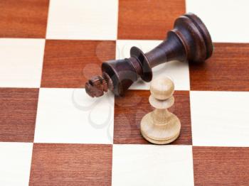 standing and fallen chess king and pawn close up
