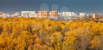 urban panorama with autumn park in evening