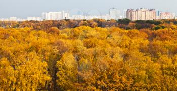 urban panorama with autumn urban park