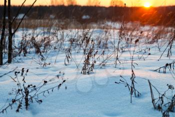 sunset under blue winter snowdrifts on country field