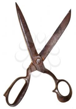 wide open old tailor scissors isolated on white background