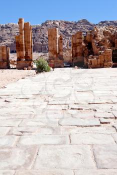 Columns on Colonnaded Street in Petra, Jordan