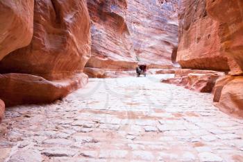 antique roman paved road in Siq passage in city Petra, Jordan