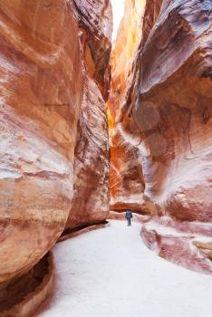 The Siq - narrow pass to ancient city Petra, Jordan