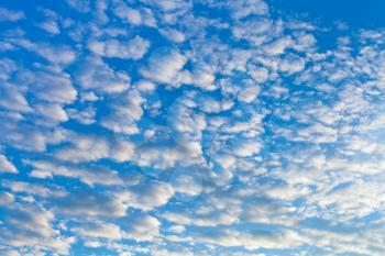 many white fleecy cloudsin blue sky at dawn
