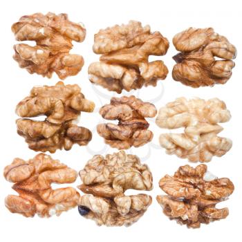 rows of peeled walnut kernels isolated on white background