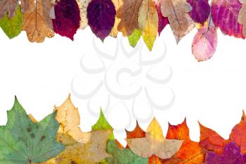two side frame from pied autumn leaves isolated on white background