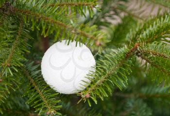 white plastic ornament on Christmas tree outdoor