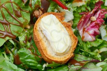 crouton with soft cheese on green lettuche with dressing close up