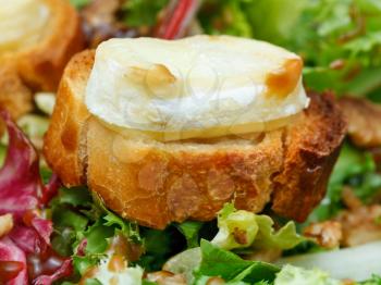 toasted bread with goat cheese on fresh lettuche with dressing close up