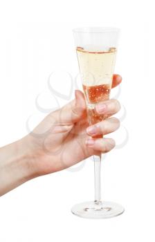 hand holds glass with champagne isolated on white background