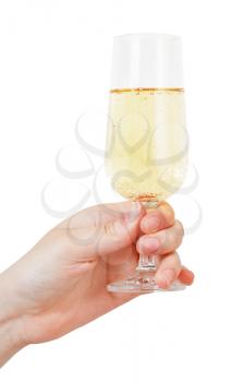 hand holds wineglass with champagne isolated on white background