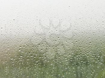rain drops on home window pane with green forest and grey sky background