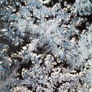snowflakes and frost on glass close up - frosty blue and grey pattern on window in cold winter day