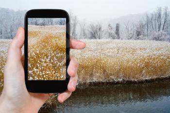 travel concept - tourist takes picture of rushy Hudson riverbank and frozen trees in winter on smartphone, USA