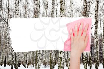 season concept - hand deletes bare trees in winter fores by pink rag from image and white empty copy space are appearing
