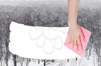 weather concept - hand deletes snow over woods by pink rag from image and white empty copy space are appearing
