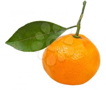 one fresh ripe abkhazian mandarin with leaf isolated on white background