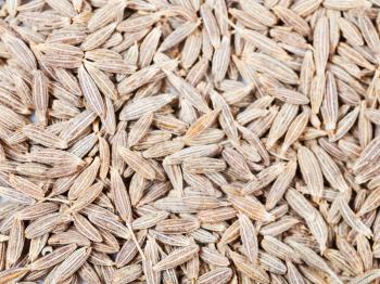 food background - dried cumin (cummin) spice seeds