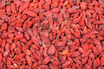 food background - many dried red goji berries