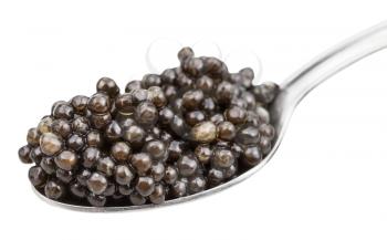 metal spoon with black sturgeon caviar isolated on white background