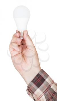 male hand holds compact LED lamp isolated on white background