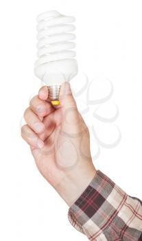 male hand holds compact fluorescent lamp isolated on white background