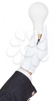 male hand in business suit and textile glove holds incandescent light bulb isolated on white background