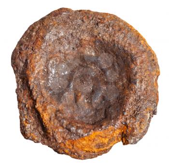 macro shooting of mineral resources - nugget of Limonite stone (bog iron ore, brown hematite, pea iron, bean ore) isolated on white background